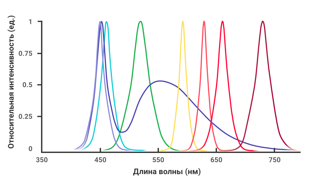 Длина волны нм. Светодиод 660 НМ спектр. Спектр светодиода 660. Графики спектров излучения светодиода. Длина спектра поглощения.