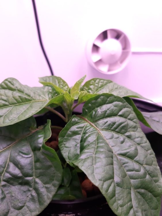 photo_2022-07-25_21-21-18 (2).jpg