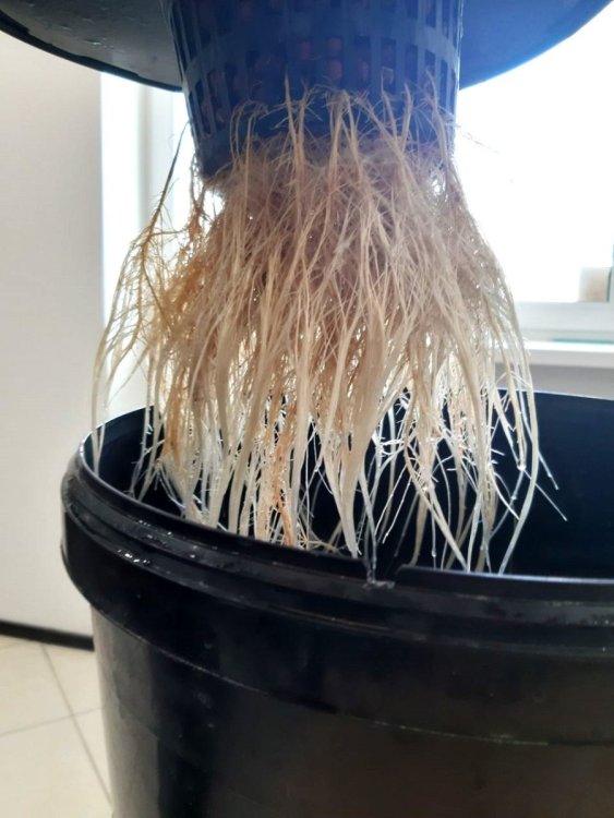 photo_2022-08-19_14-12-07 (2).jpg