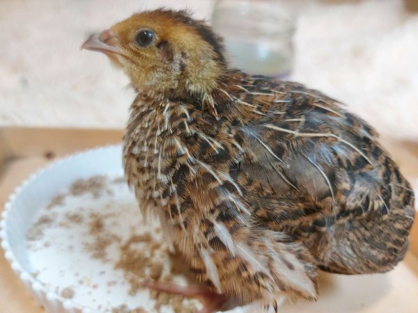 IMG_20220813_174229_846