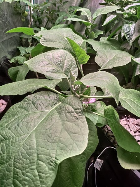 photo_2022-09-04_10-41-46