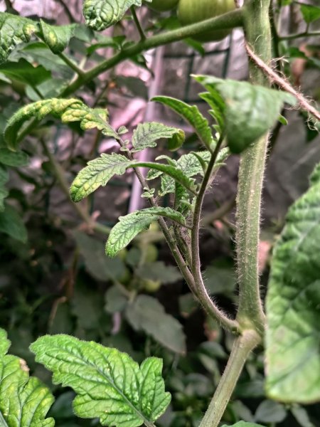 photo_2022-09-04_11-10-07