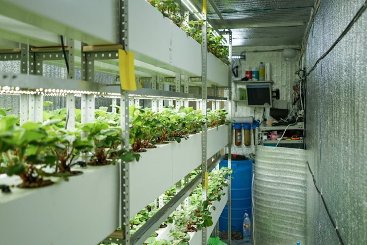 Аэропоника в контейнере.jpg