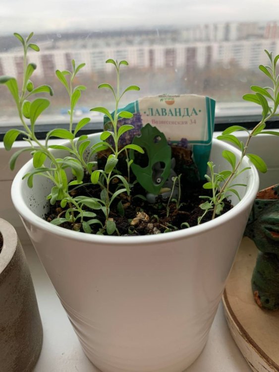 photo_2022-11-15_13-52-57 (2).jpg