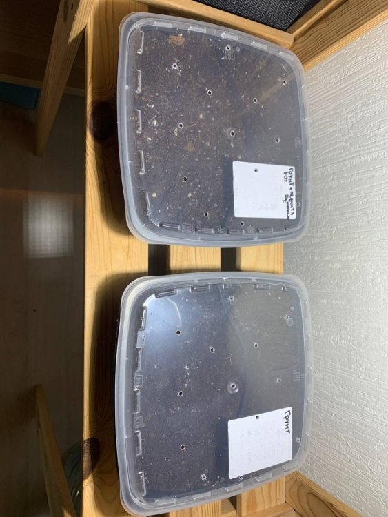 photo_2022-11-08_15-10-05 (2).jpg