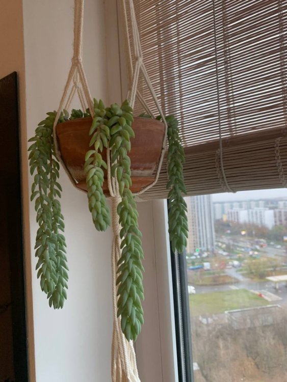 photo_2022-11-15_13-52-59 (2).jpg