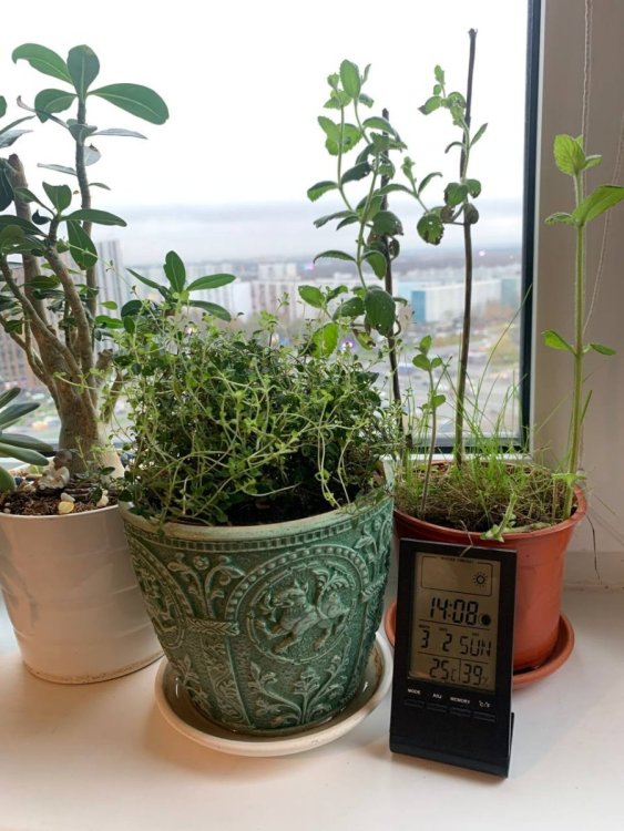 photo_2022-11-15_13-53-00 (2).jpg