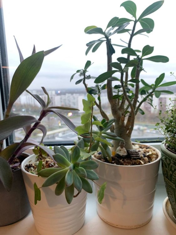 photo_2022-11-15_13-52-58 (2).jpg