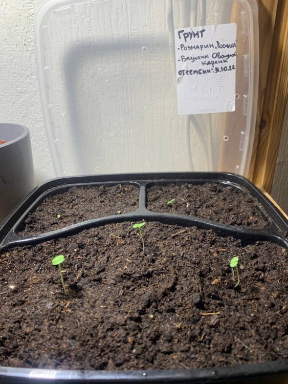 photo_2022-11-15_13-39-27 (2).jpg