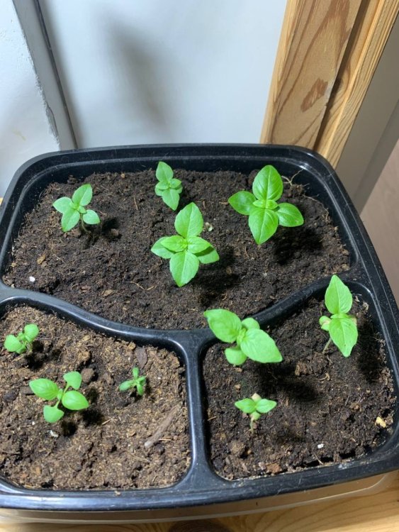 photo_2022-12-06_12-53-22 (2).jpg