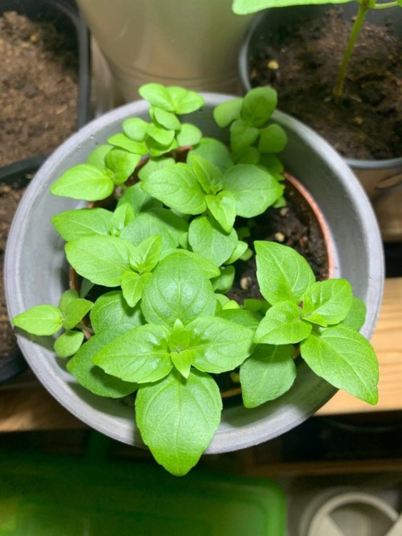 photo_2022-12-13_12-40-40 (2).jpg