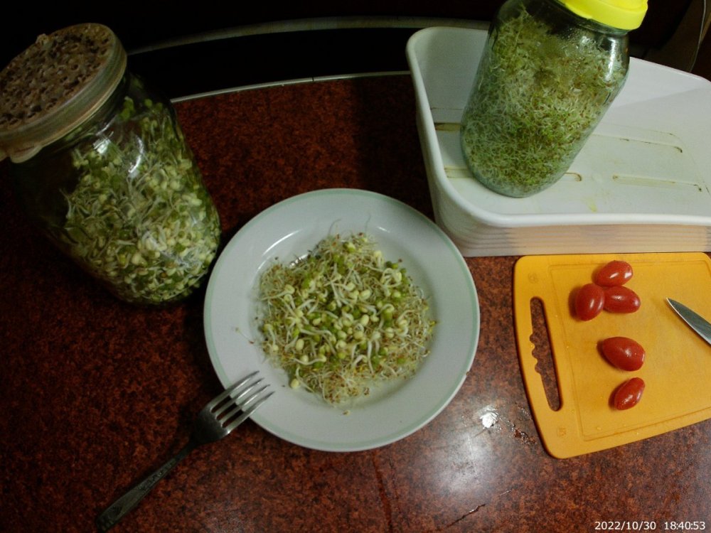 20221030_184053.thumb.JPG.ee626ec54c65ecbb6ba88a35b08375be.JPG