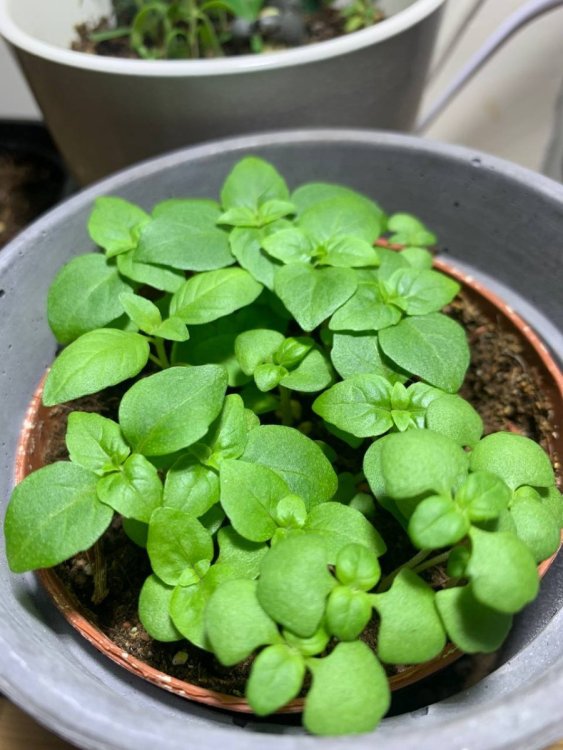 photo_2022-12-06_12-53-23 (2).jpg