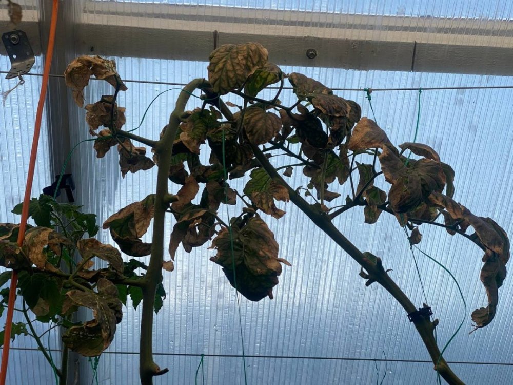 photo_2023-02-22_14-06-04 (2).jpg