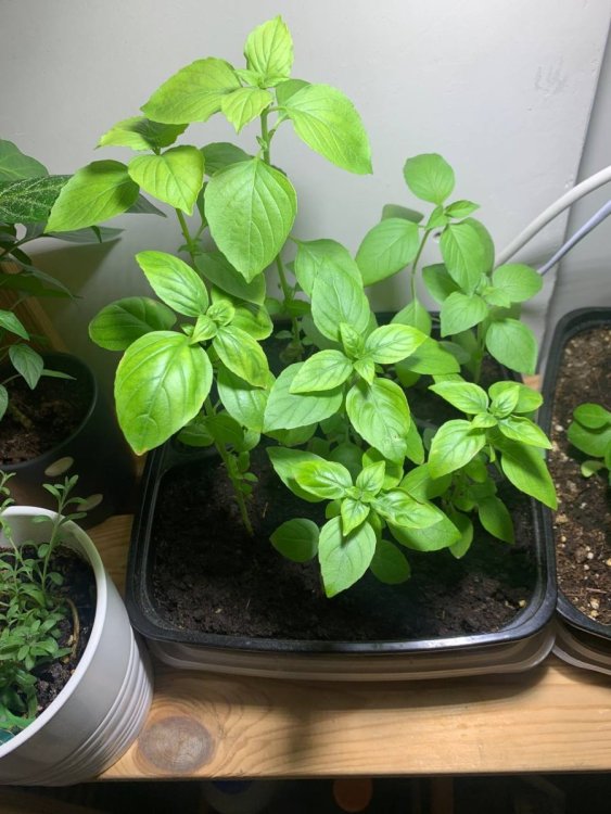 photo_2023-01-10_11-23-32 (2).jpg