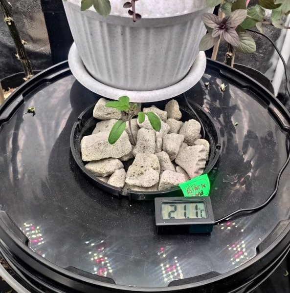 photo_2023-01-14_14-11-55