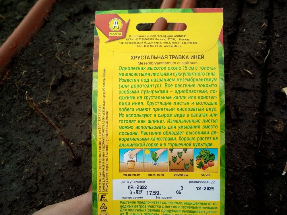 хрустальная травка иней