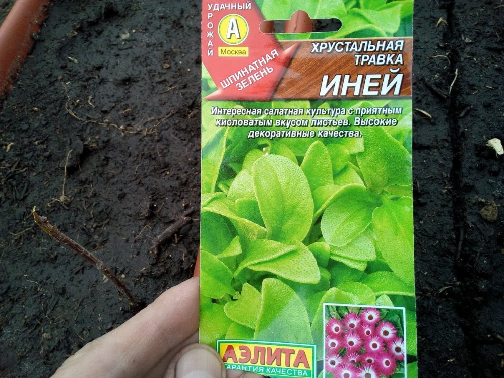 хрустальная трава иней