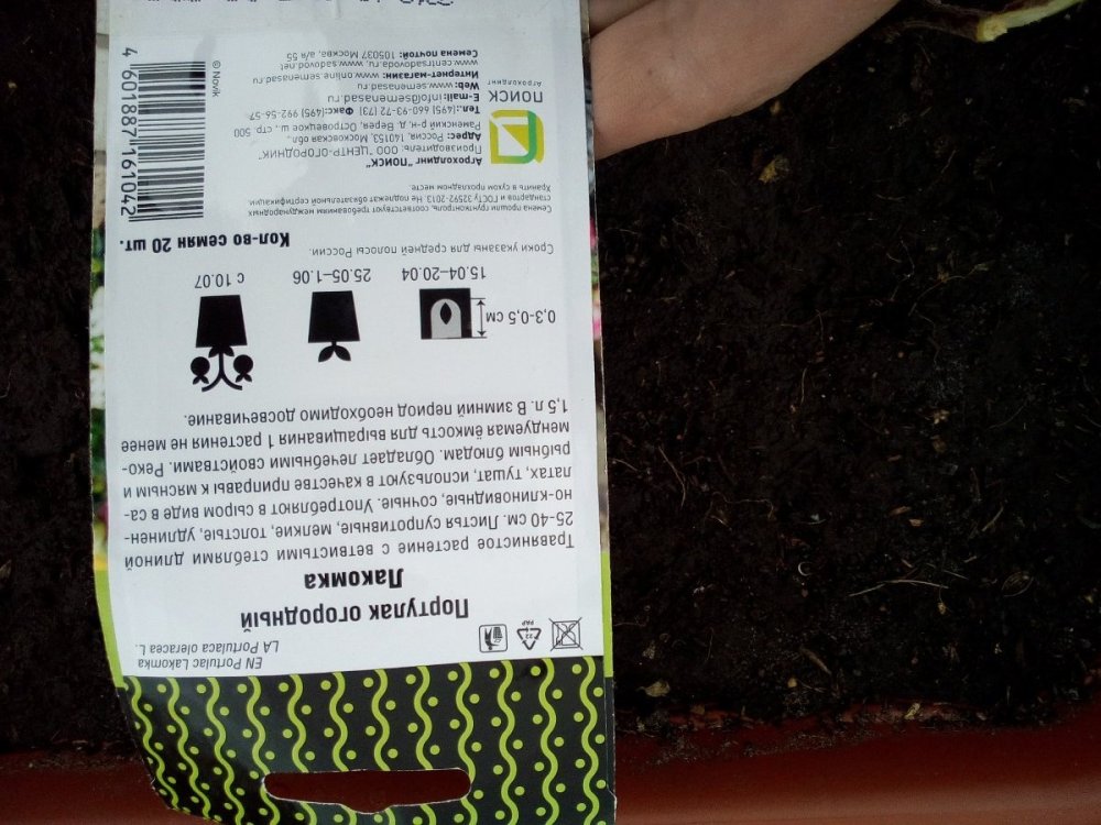 портулак огородный лакомка