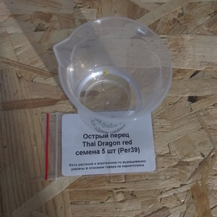 Хот Раф - 15.06.2024.jpg