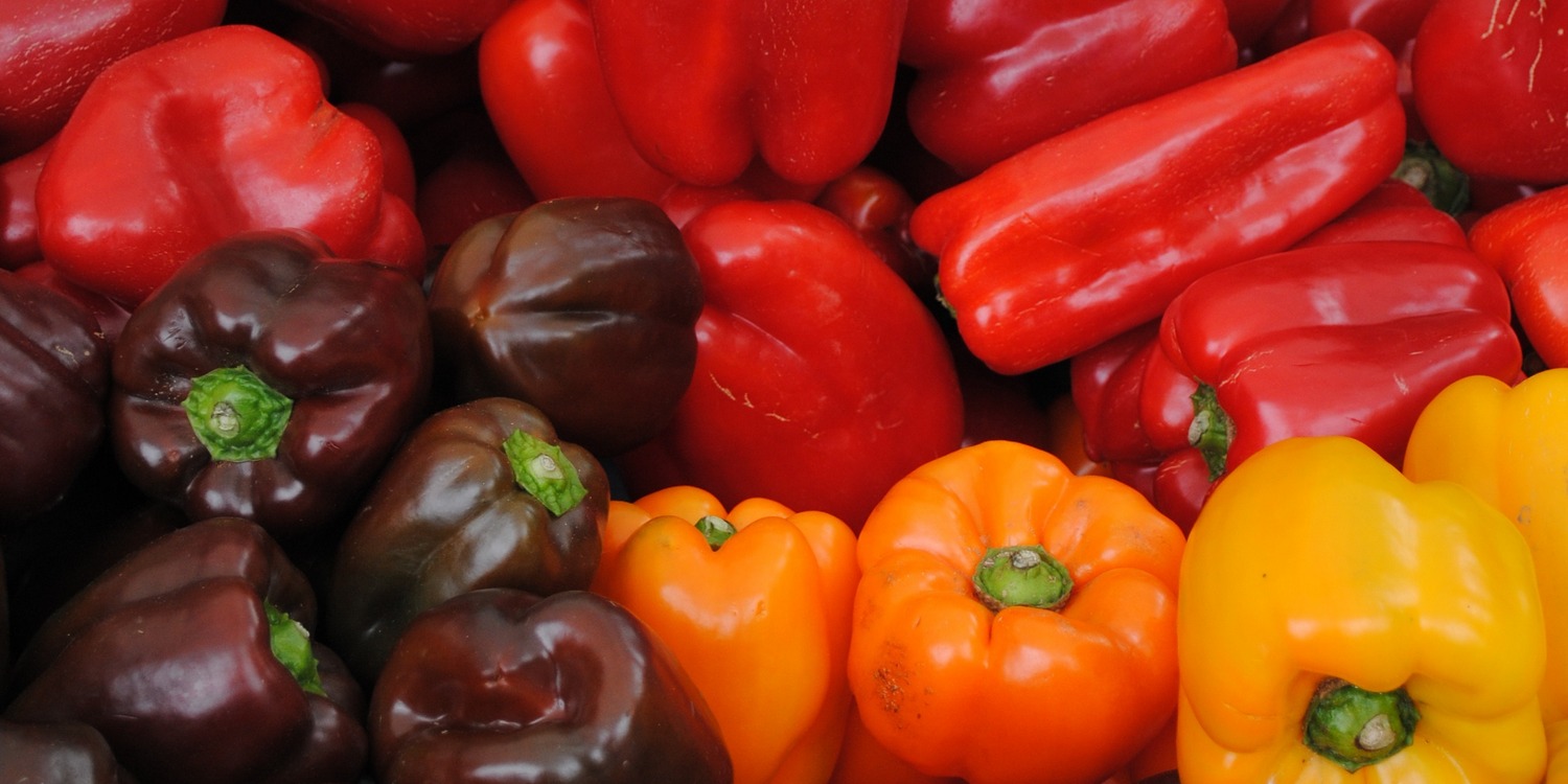 разноцветный сладкий перец