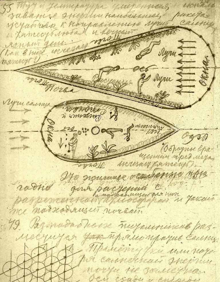 рисунок космической оранжереи Циолковского