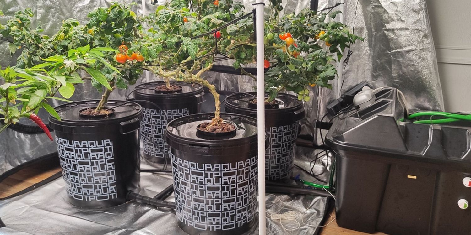 пространство для выращивания в помещении с аквапотами