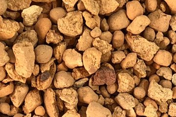 диатомит при увеличении