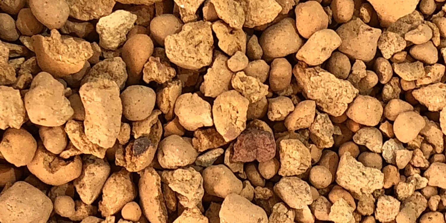 диатомит при увеличении