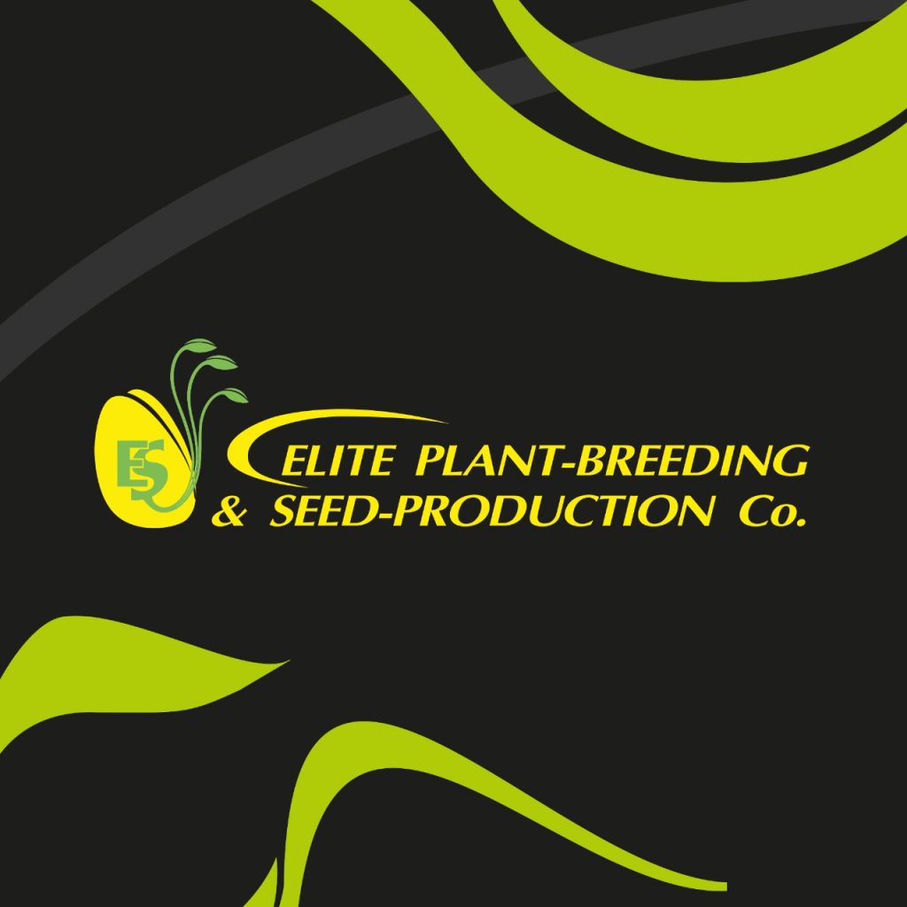 Elite seeds - City Farmer