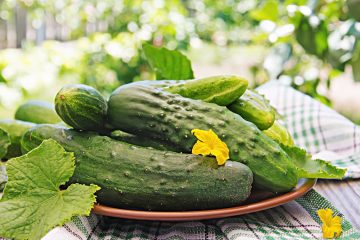свежие огурцы лежат на тарелке на столе