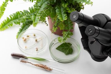 растения и микроскоп на светлом фоне