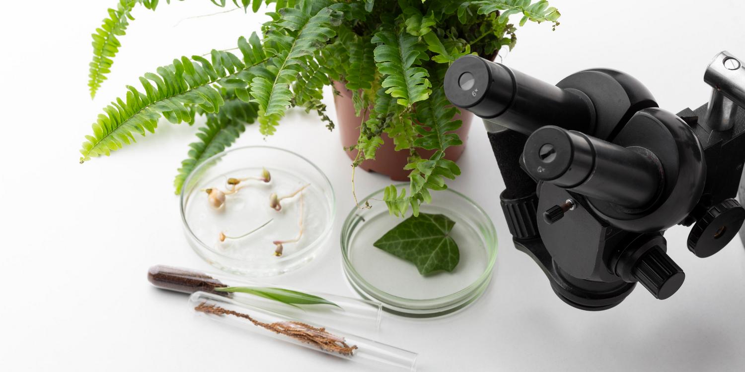 растения и микроскоп на светлом фоне