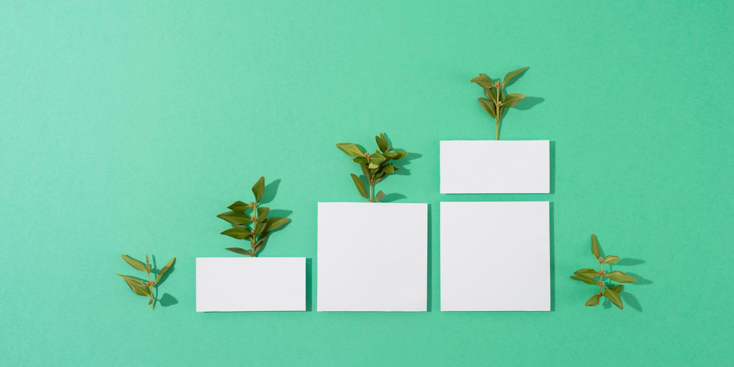 Растения, растущие из геометрических форм, на голубом фоне