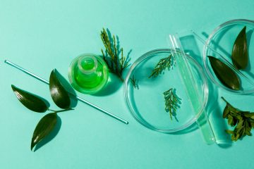 растения, лабораторные пробирки и чашки Петри на голубом фоне