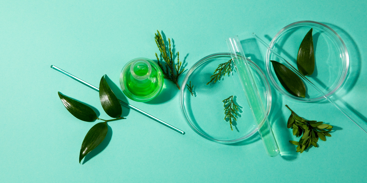 растения, лабораторные пробирки и чашки Петри на голубом фоне