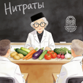 Пожилая женщина-учёный делает доклад о нитратах. Перед ней на столе лежат овощи: картошка, кабачки, морковь, баклажаны, помидоры, огурцы, редька, редиска, чеснок, лук