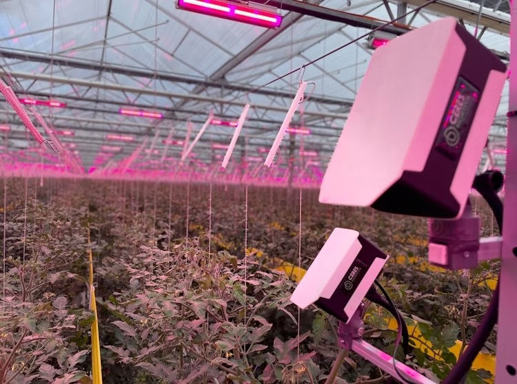 технологии для растениеводства