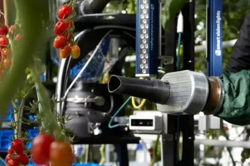 робот сборщик томатов
