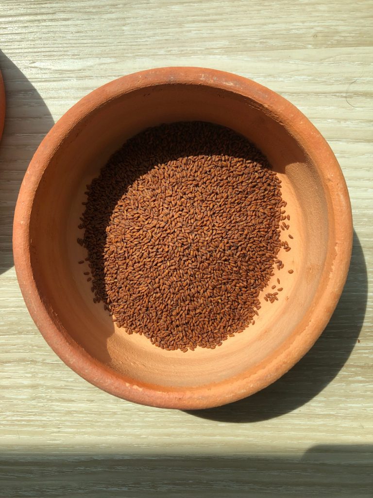 семена микрозелени кресс-салата