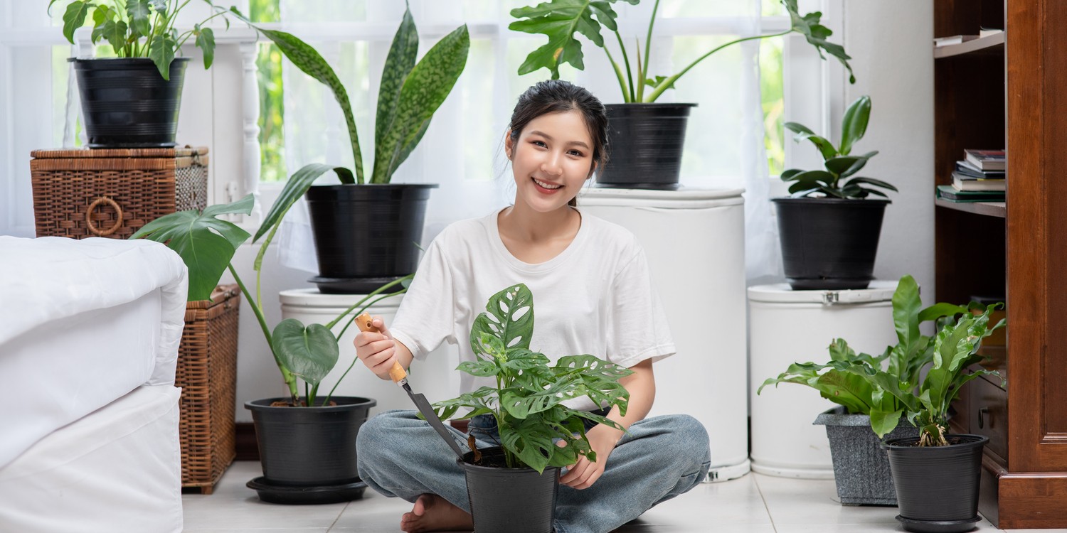 женщина с домашними растениями