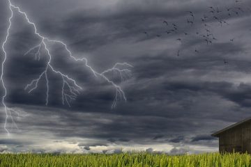 молния над полем
