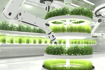 роботизированная ферма