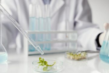 растение в чашке Петри на лабораторном столе