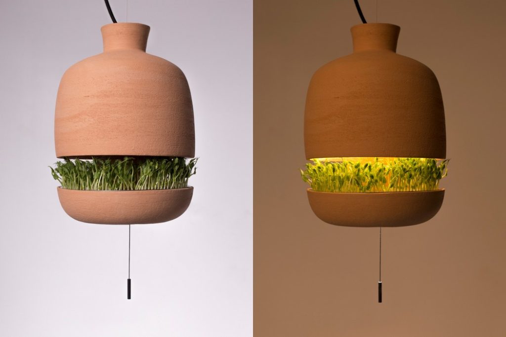 лампа-кашпо для микрозелени