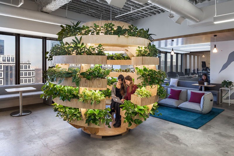 офисный сад с растениями