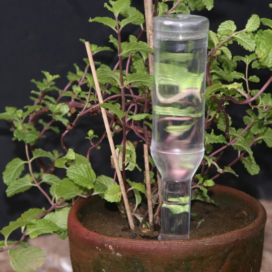 Как сделать автополив для комнатных растений своими руками