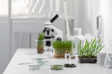 растения в лаборатории