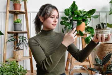 девушка смотрит на растение в горшке