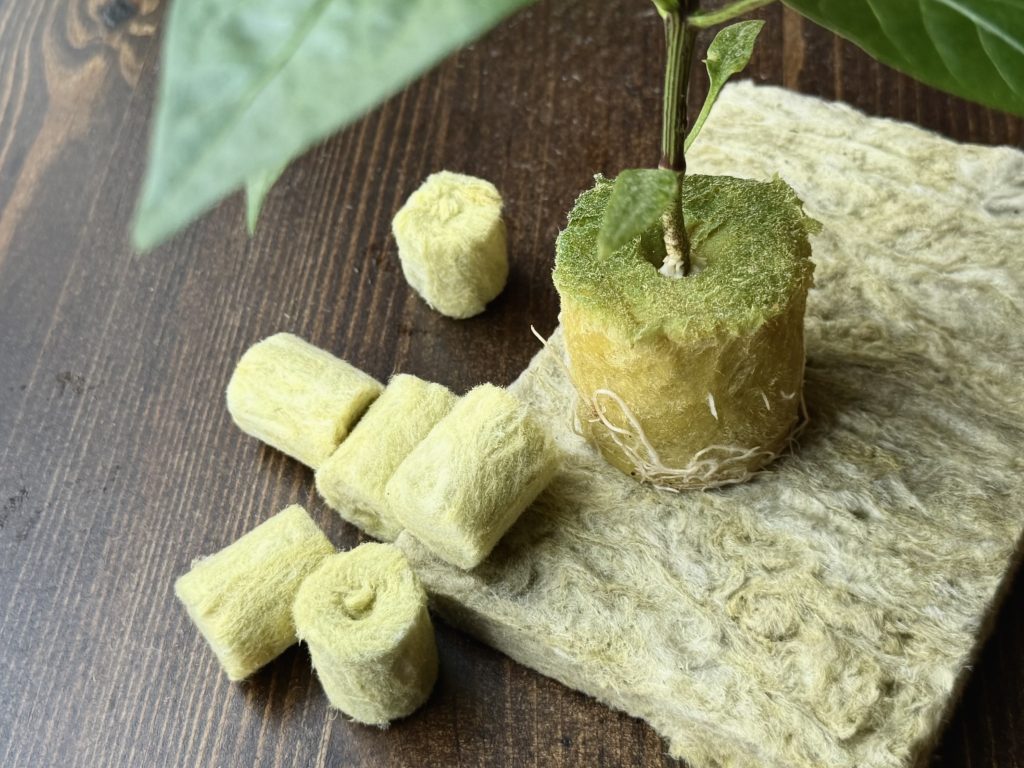 Мат и пробки из минеральной ваты, корни растения в кубике из минеральной ваты